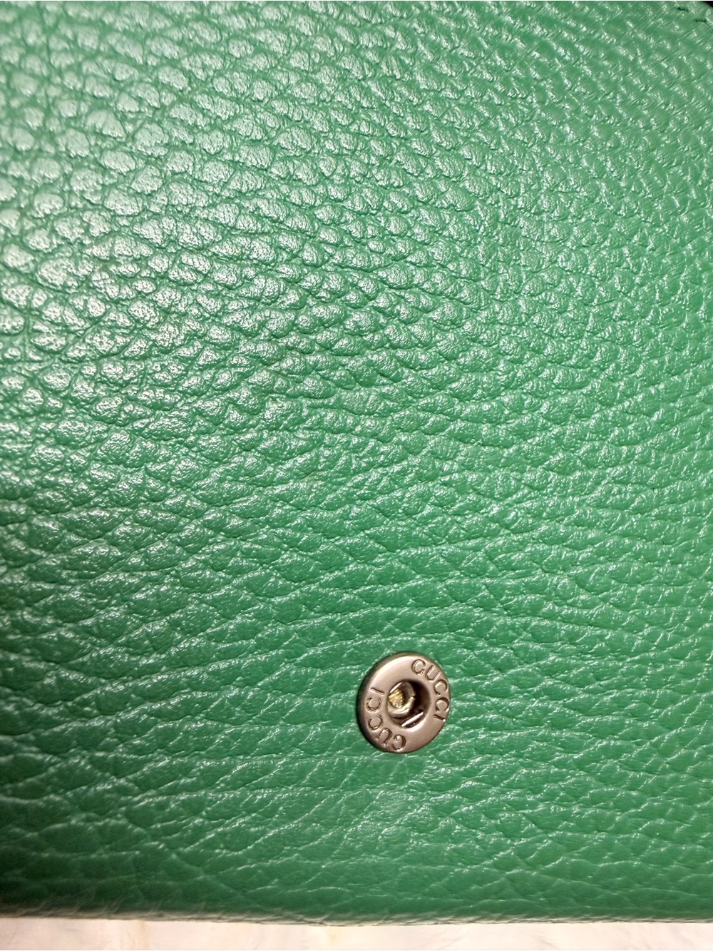 GUCCI-401231 2067 Green Dionysus Shoulder Bag - Picture 7 of 14